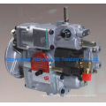 Original Original OEM PT Kraftstoffpumpe 3655889 für Cummins N855 Serie Diesel Motor